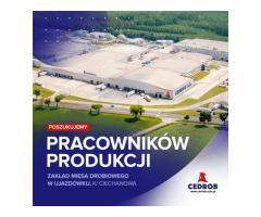 Pracownik Produkcji